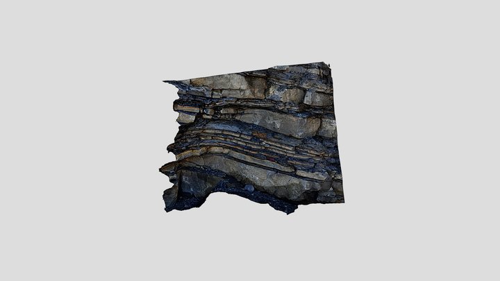 Detail, Flysch, Plasselb, Fribourg 3D Model
