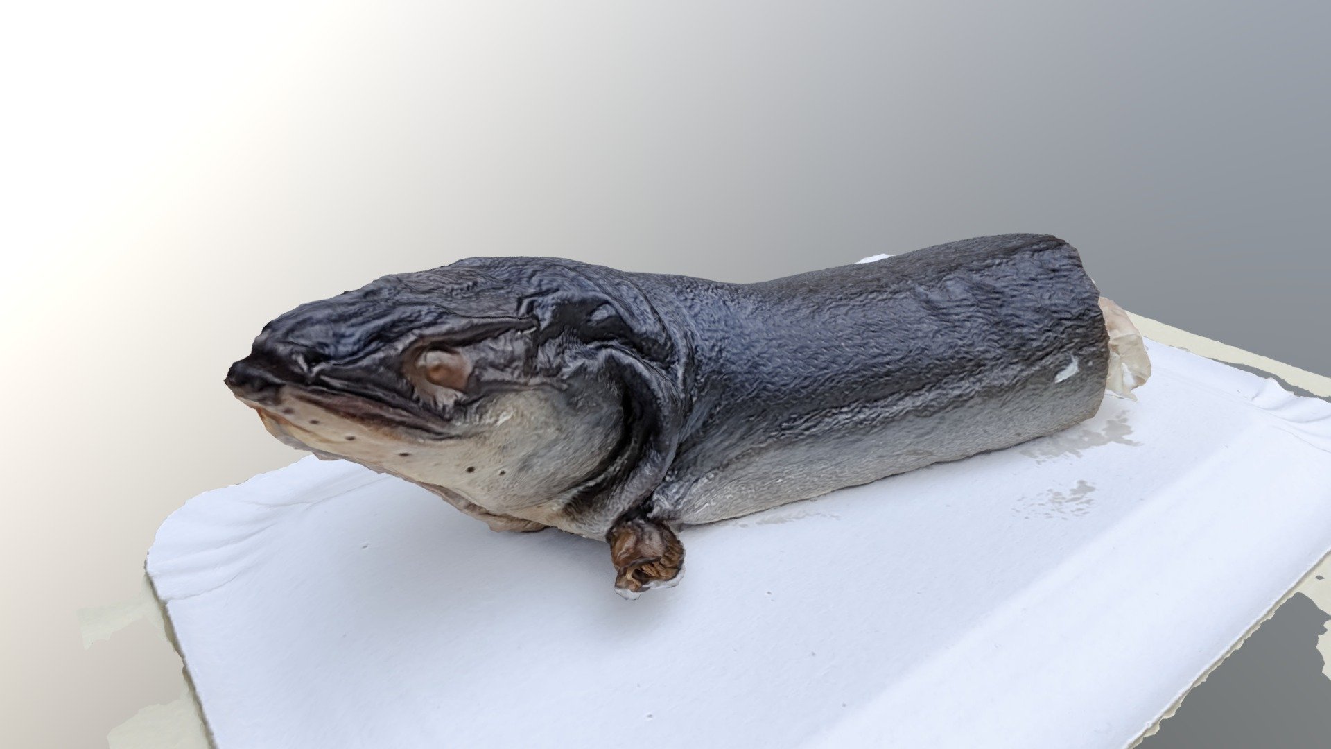 uhor 1 - Download Free 3D model by AVU (@avu-models) [d679625] - Sketchfab