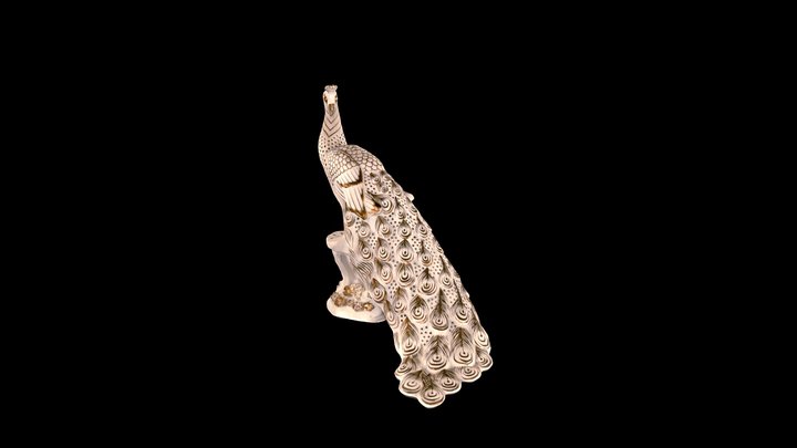 Peacock - 05690091A-OR 3D Model