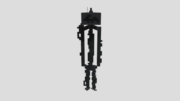 Found Footage 3D Model
