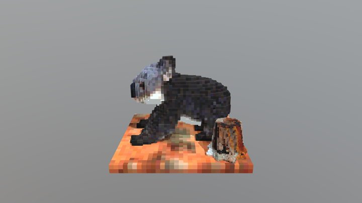 Koala on ground 3D Model
