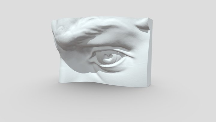眼睛 3D Model