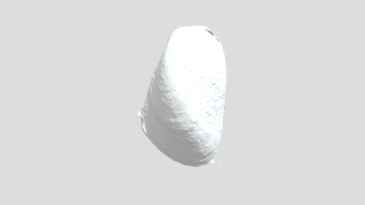 ZHB5 3D Model