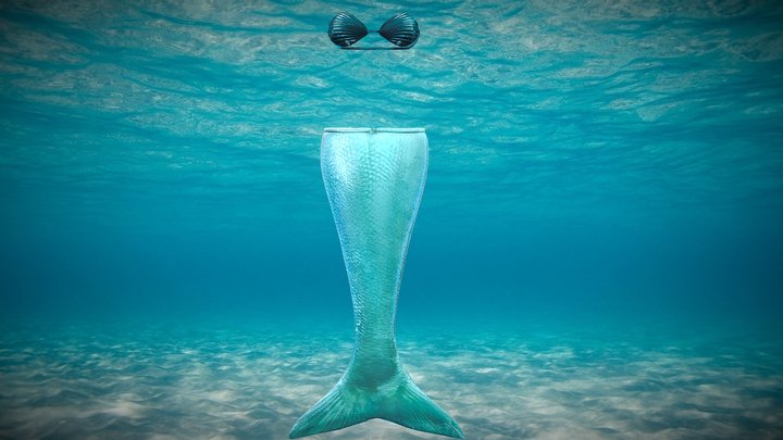 $AVE Mermaid Tail And Shell Bra 3D Model