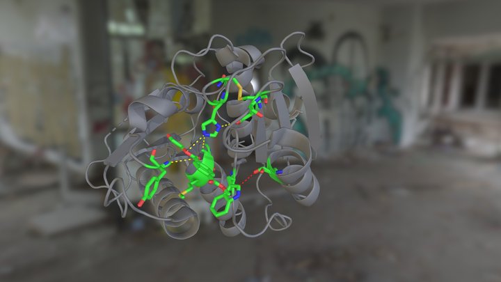 A Pollution Solution? 3D Model