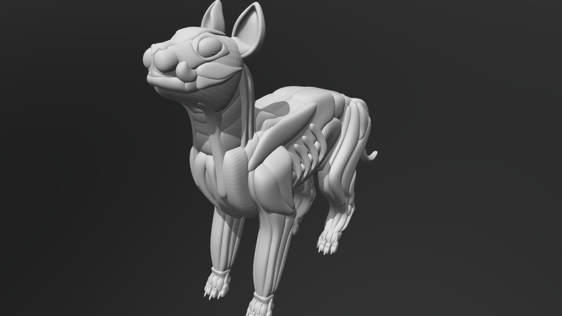 Cat Detailed Block Out - 3D model by GracieB.3D [d68d34e] - Sketchfab