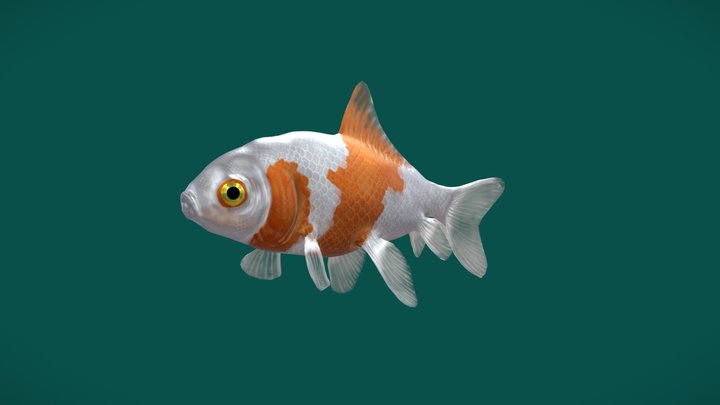 Goldfish/ crucian carp 3D Model