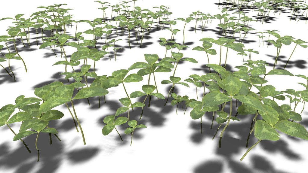 Clovers - Plants / Foliage