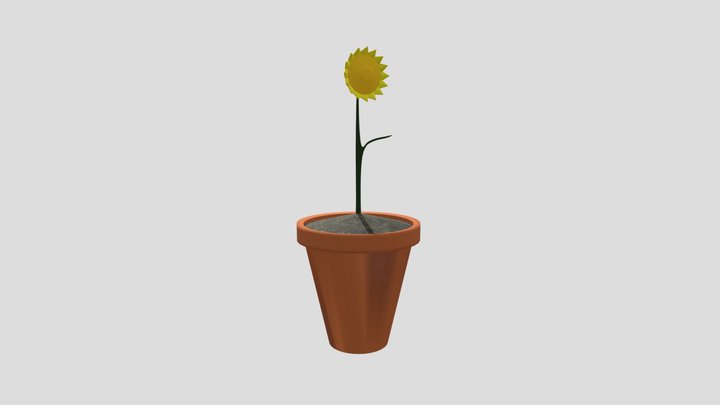Sunflower Pot2 3D Model
