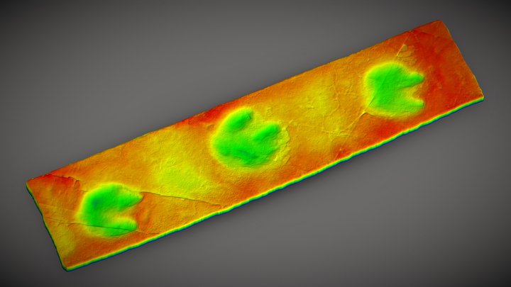 Ornithopods track1 (Replica), Goseong Korea 3D Model