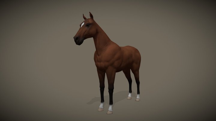 Horse Wip 3D Model