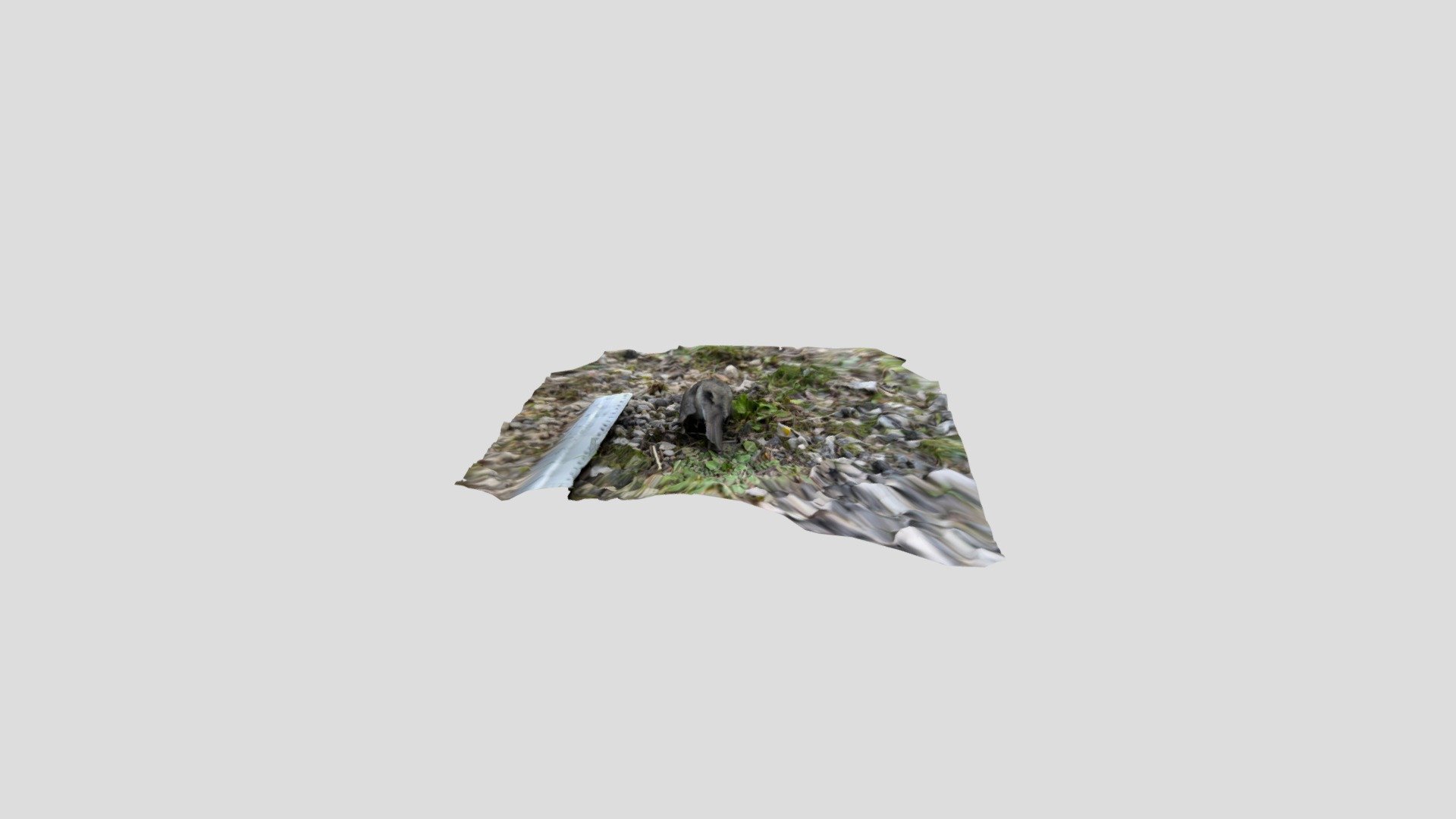 Polycam capture — Sketchfab embed 3D viewer