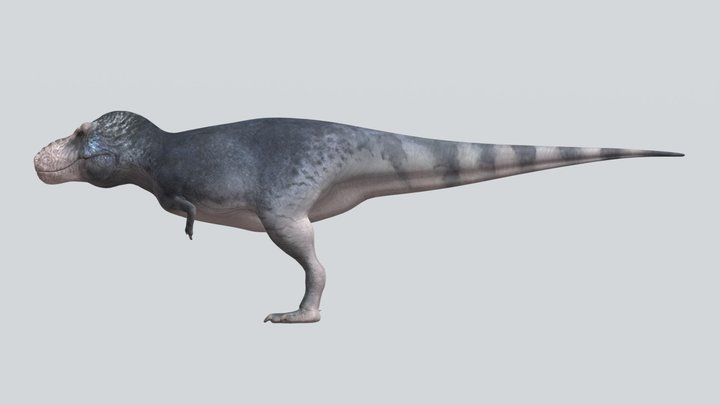 Tyrannosaurus rex (Feathered) – Free 3D Model STL