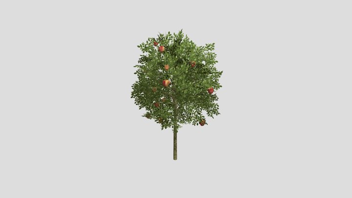 Pommier 3D Model