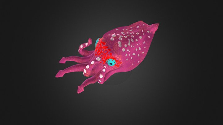 Squid 3D Model
