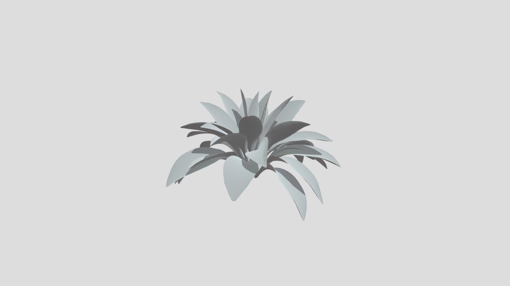 Haran Cast Iron Plant Large