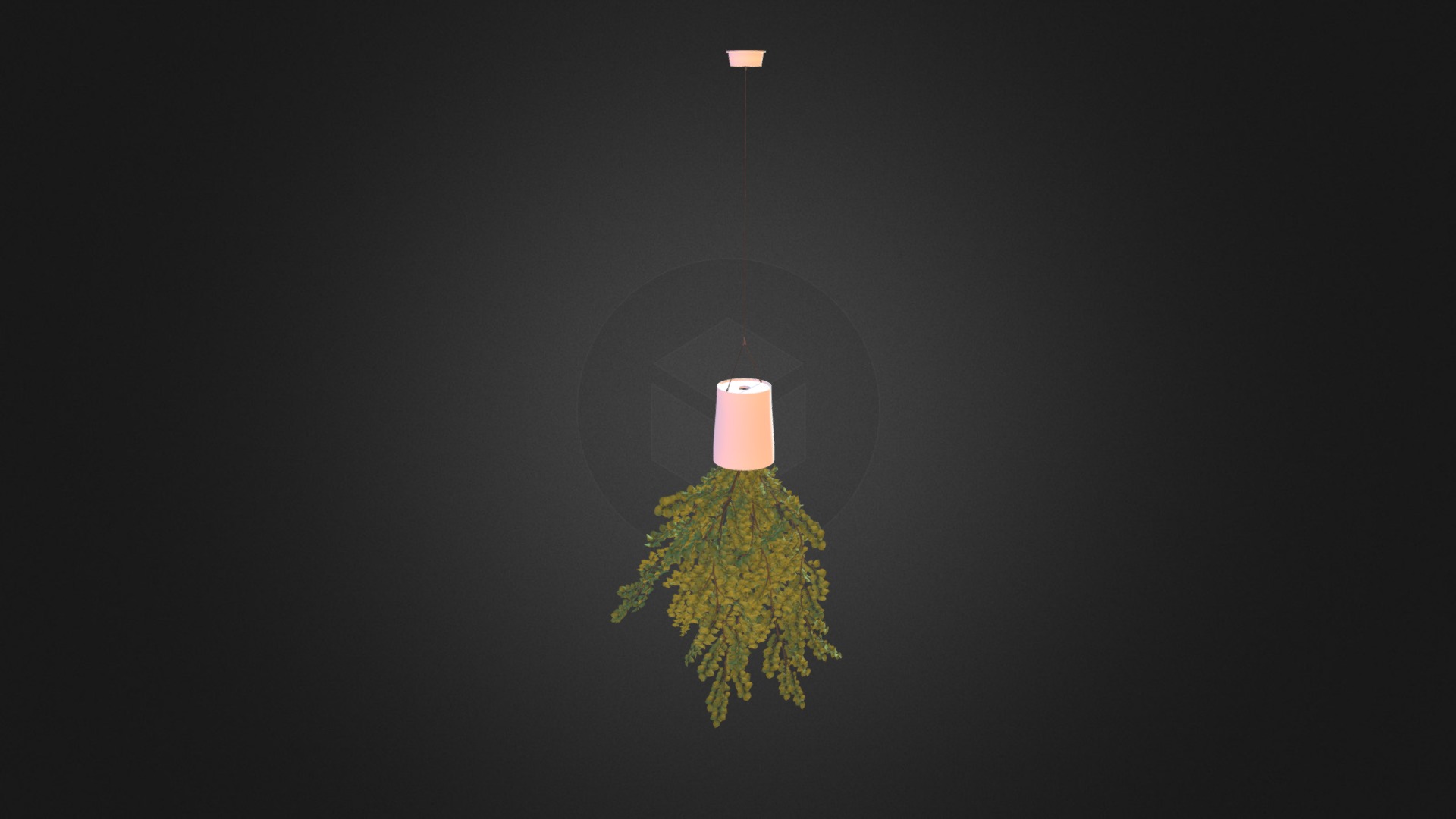 3D model Plant in Inversed Hanging Planter - This is a 3D model of the Plant in Inversed Hanging Planter. The 3D model is about a light on a pole.