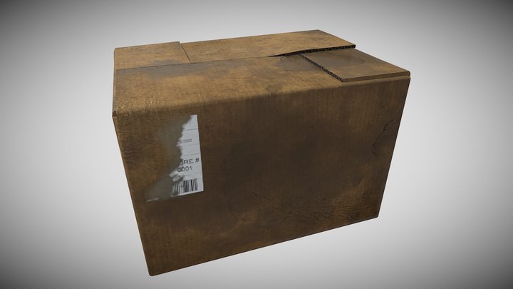 Cardboard 3D Model