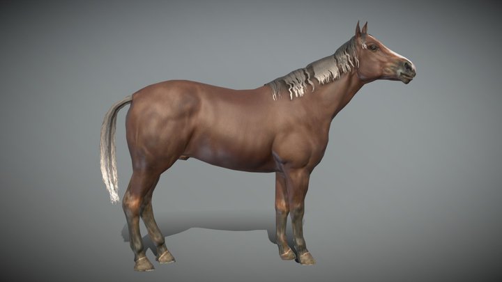 Horse Idle Animated 3D Model