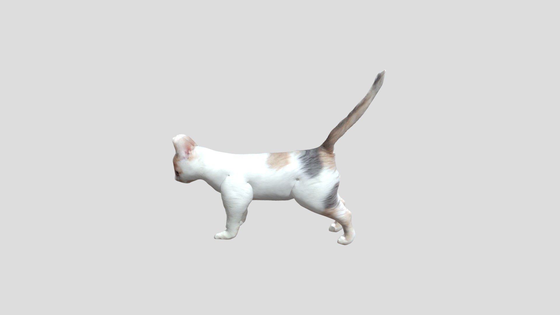Mm Project