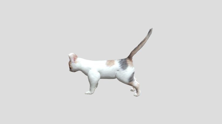 Mm Project 3D Model
