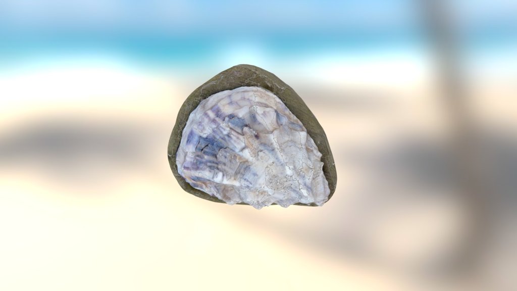 oesterschelp