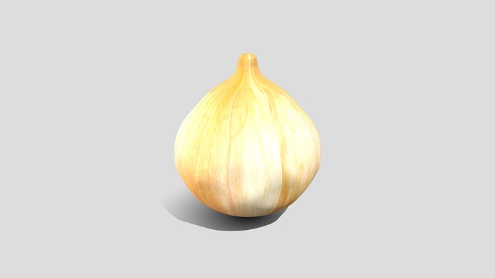 leekochka 3D Model