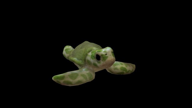Turtle Toy 3D Model