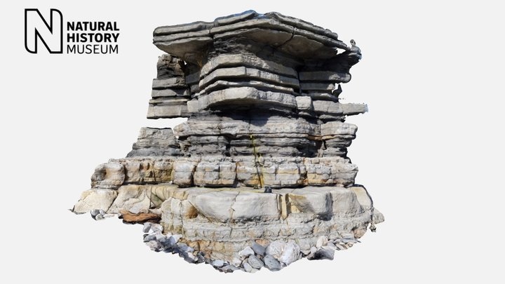 Triassic - Jurassic Boundary Section – Modello 3D gratuito STL