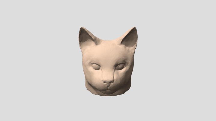 Cat head 3D Model