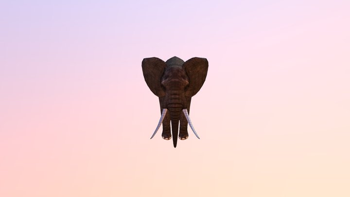 Elephant LP 3D Model