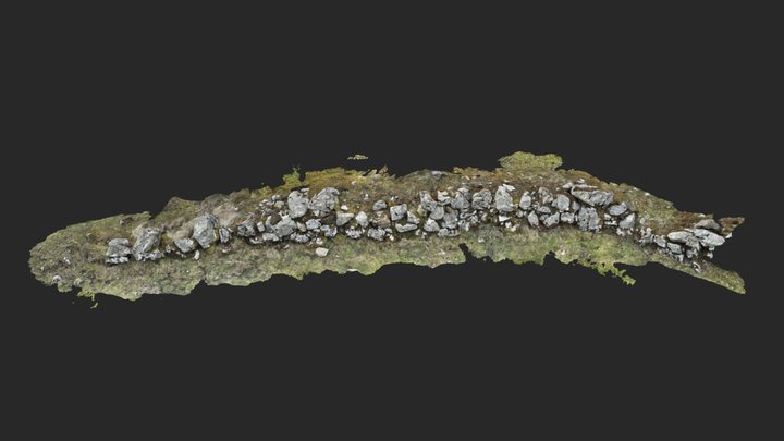 rock fence mossy lidar scan 3D Model