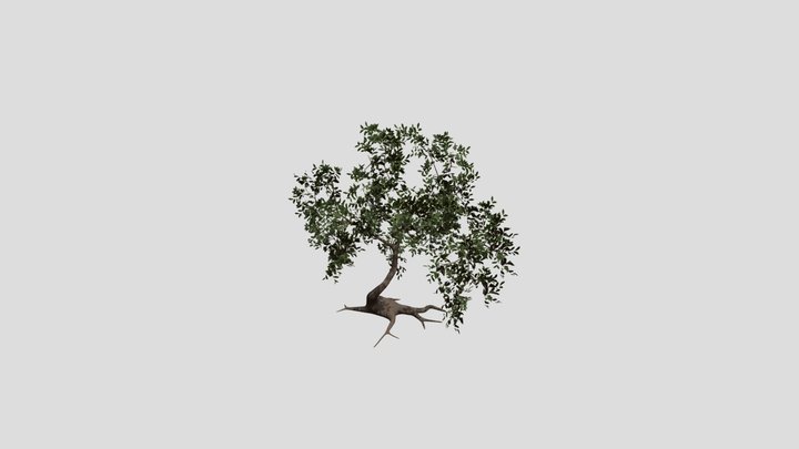 Stylized tree 3D Model