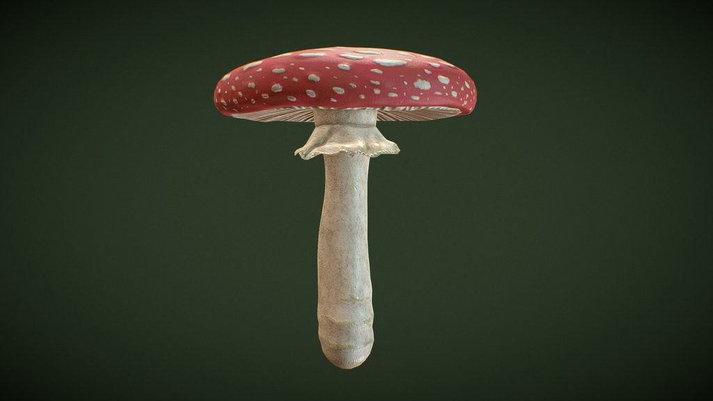 Fly Agaric Mushroom