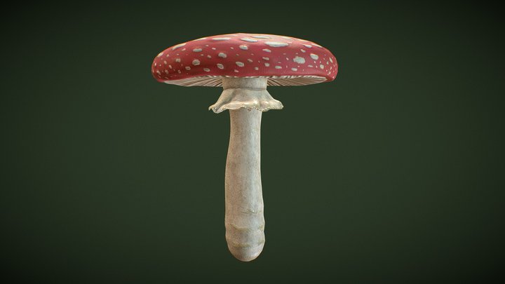 Fly Agaric Mushroom 3D Model