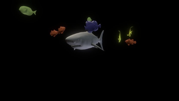 Shark And Fish 3D Model