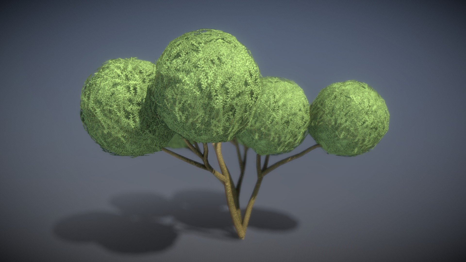 Boxwood Tree Version 4 - Buy Royalty Free 3D model by VIS-All-3D (@VIS ...