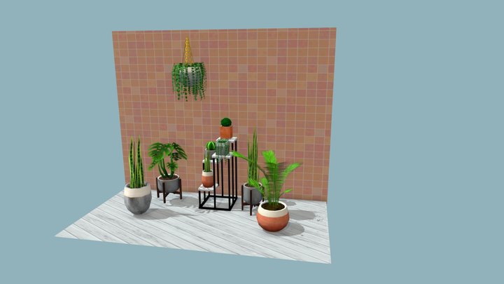 Low Poly House Plants 3D Model