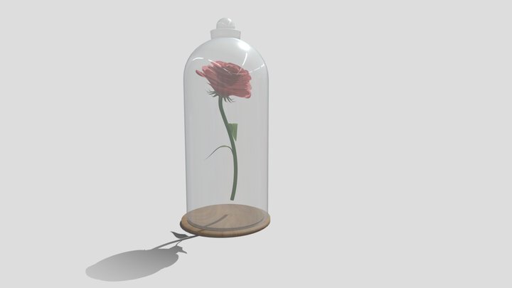 Week 9 Plant 3D Model