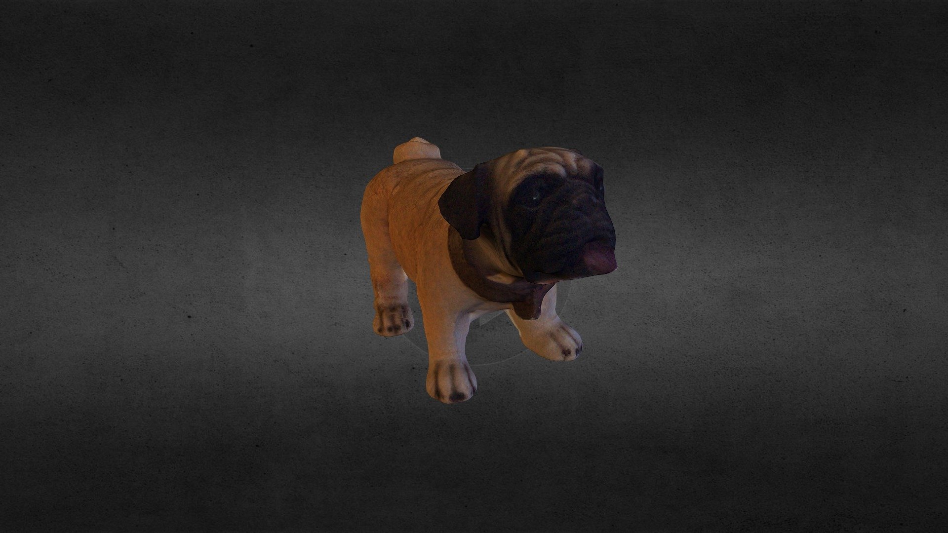 Pug dog