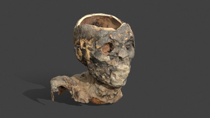 Cabeza de momia (num 2033) 3D Model