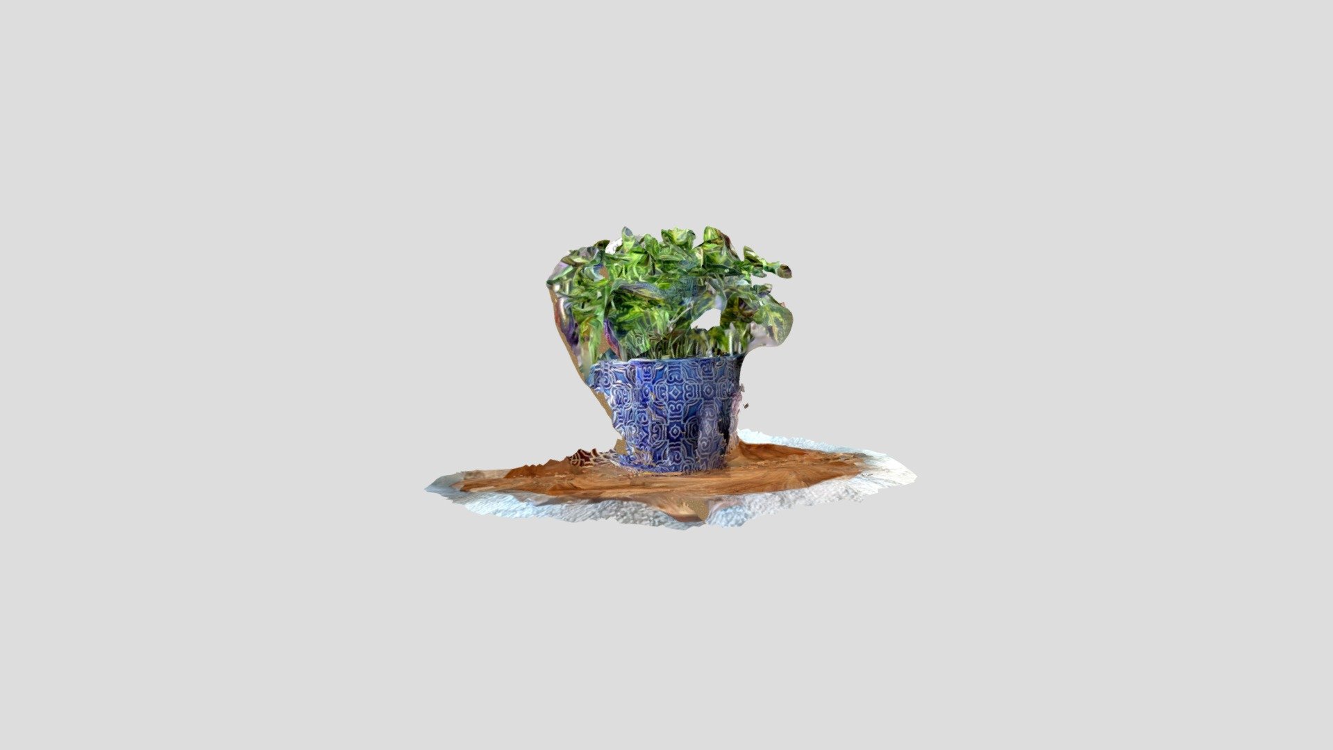 plant2