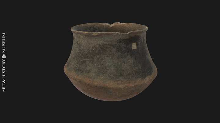 Carinated vase with flaring rim - PG.41.1.176 3D Model