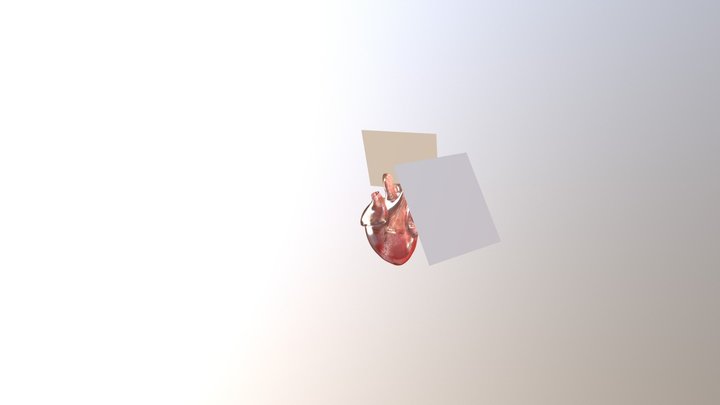Heart B279 3D Model