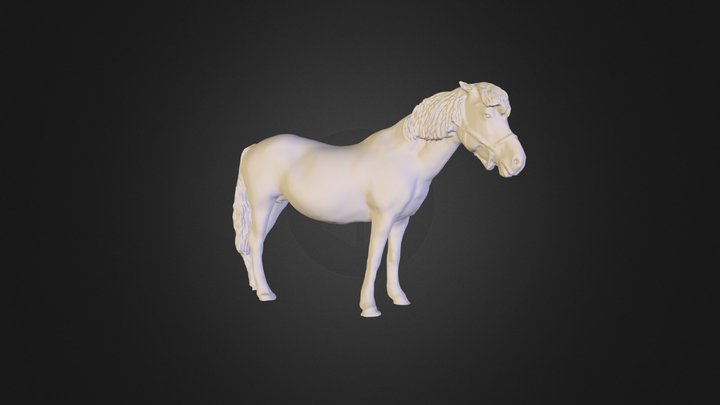 3D Scan of a Haflinger Horse 3D Model