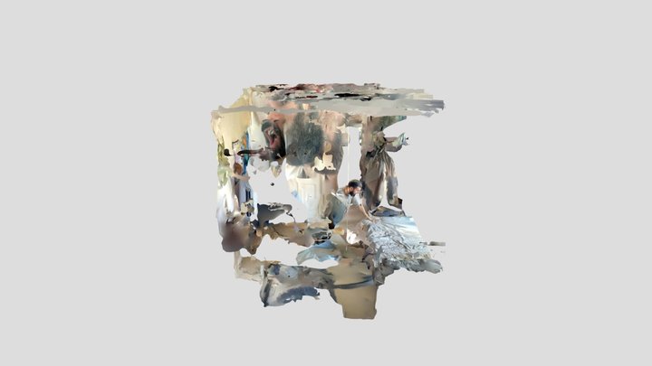 Polycam capture 3D Model