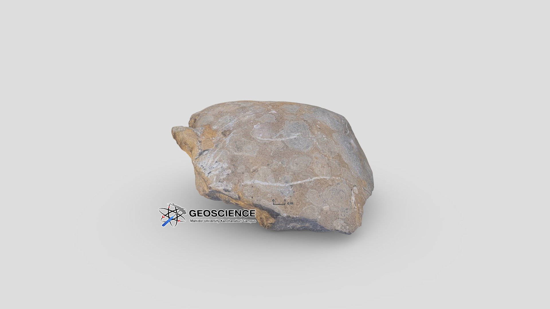 Oncolith limestone