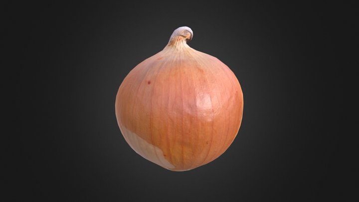Onion 3D Model