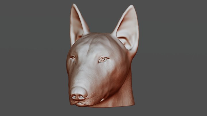 Bull Terrier dog head for 3D printing 3D Model