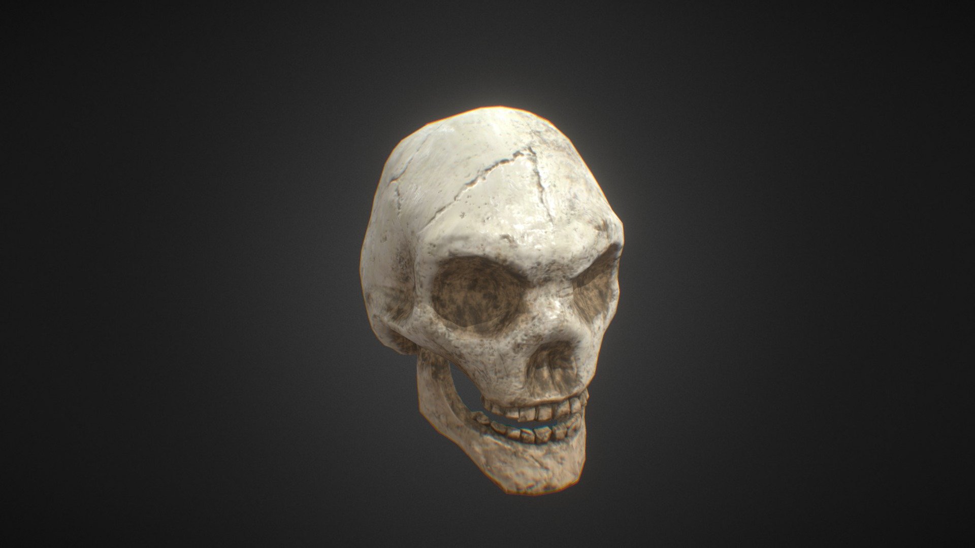 Skull Download Free 3D model by Batuhan13 (Batuhan13